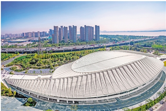 的坚定, 图案的, 写下对赛事 的坚定, 图案的, 写下对赛事